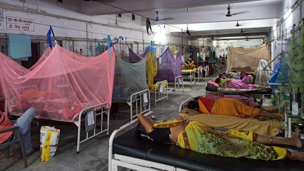 बिहार में डेंगू से हालात बेकाबू, पटना में मिले रिकार्ड नए केस; इन चीजों का रखें ध्‍यान
